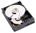 Hard Disk Seagate 500GB 